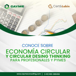 Economía Circular y Circular Design Thinking para Profesionales y PyMEs